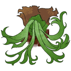 Platycerium veitchii & willinckii