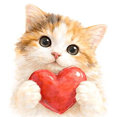 Cute Cat Expression Stickers (Munchkin)