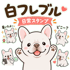 Everyday White French Bulldog Stickers