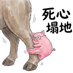 小豬豬：成語諧音白目實用包4