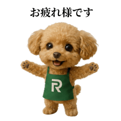 Toy Poodle Racchan uses polite language1