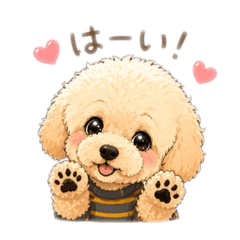 hapitann_20260423164543