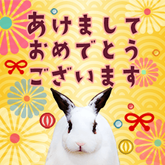 Rabbit photos New Year Sticker, Restock.