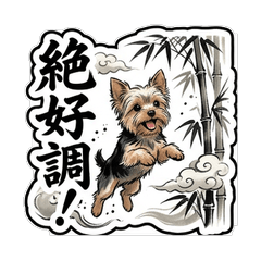 Yorkshire Terrier: Japanese Reactions