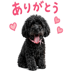 Cute Toy Poodle KUROGOMA Daily Stickers
