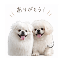 musuko_20260423220859