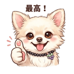 Emotional Chihuahua Girl