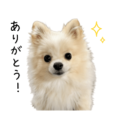 takezy_20260423221802