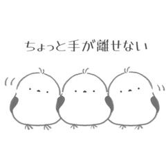 itoka_20260423224846