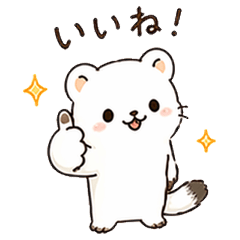 Fluffy White Ermine Daily