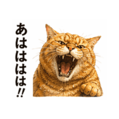 Sassy Big Cat Stickers