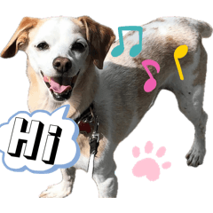 Gloriosa_20260423225103