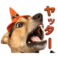 mitomo_20260423232109