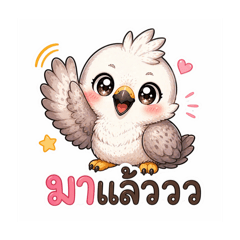 Cutie Studio_20260423213719