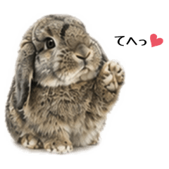 Kanako_20260423232722