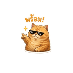 Rut7T_20260423214837