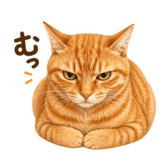 Neko Lucky Everyday Stickers