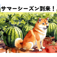 HIROSE_20260424002716