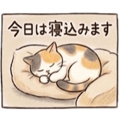 rikmer_20260424005122