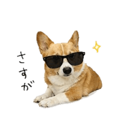 Daily Corgi Stamps You'll Love