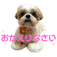 美雲Stamp ver.3