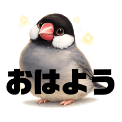 Daily Java Sparrow Stickers