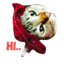 JaewWeaw1