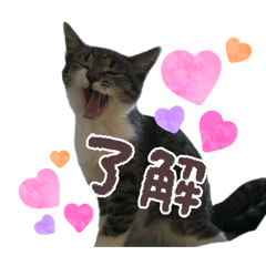 pukupukuyamin_20260423202013