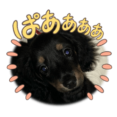 yuria_20260423201857