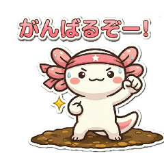 Studiohikappe_20260423202000