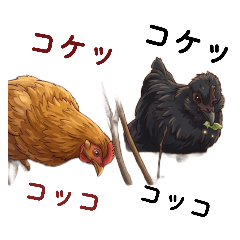 pinonismo_20260423201757