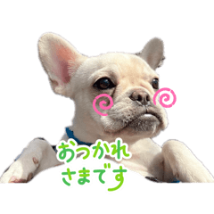 mi-ko_20260423202335