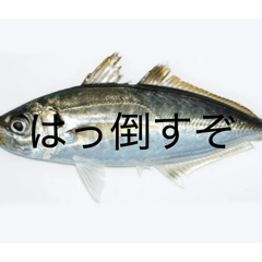 PAYASHI_20260423202534