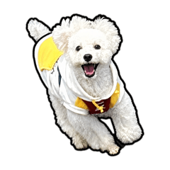 Amagami_20260423202517