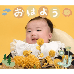 marimo_20260423202509