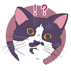 My beloved black-and-white cats