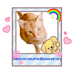 Nong Namthong_20260423220246