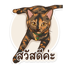 Pensiri_20260423234822