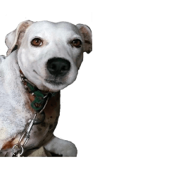 Manami Tab_20260423235845