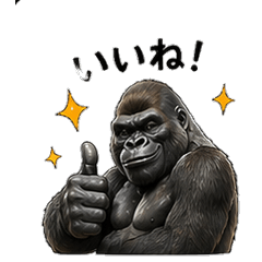 Gorilla Catchphrase 24