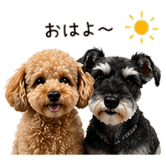 Toy Poodle & Schnauzer Daily Stickers