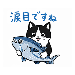 保護猫くぅちゃんの毎日スタンプ