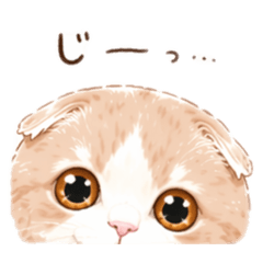 mishishippi_20260424103333