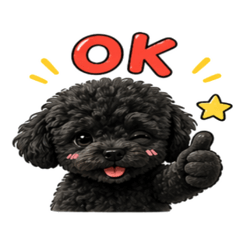 taiki_20260424103823