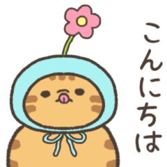 ☆とろけるネコの春☆レッドタビー