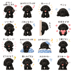 Sweet Black Lab Days