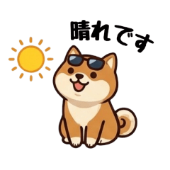 Chubby Shiba Inu: Weather Edition