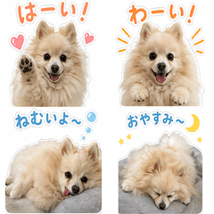 Uchan Daily Life Stickers