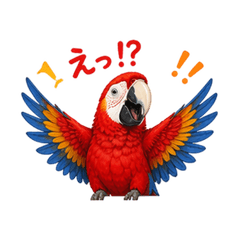 Colorful Macaw Daily Stickers1