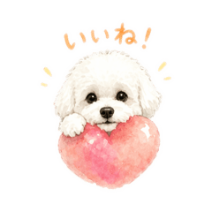 chococo_20260423213409